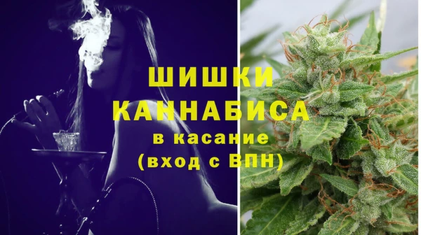 бутират Белокуриха